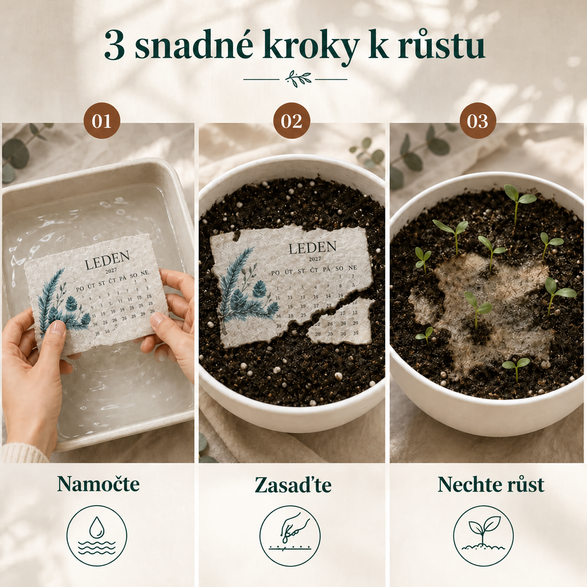 🌱 Sázecí kalendář se semeny na rok 2027 🌱 – Rok plný krásy; nový život na každé stránce! 📆