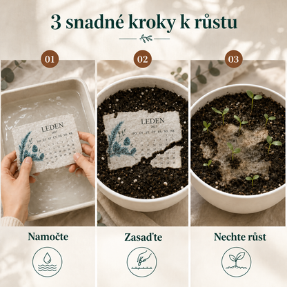🌱 Sázecí kalendář se semeny na rok 2027 🌱 – Rok plný krásy; nový život na každé stránce! 📆